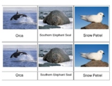Animals of Antarctica 3-Part Cards