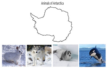 Preview of Animals of Antarctica Map