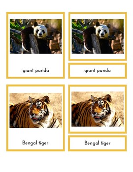 Preview of Animals of Asia (3-Part Montessori Cards)