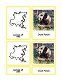 Animals of Asia