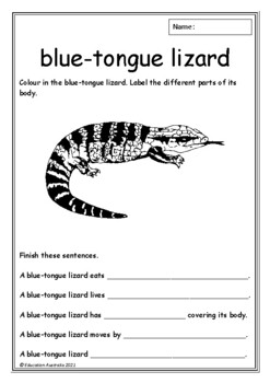 Preview of Australian Animals Information Worksheets - 30 Different Animals