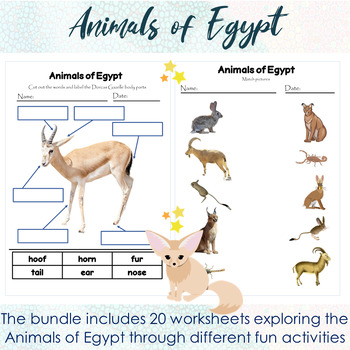 Preview of Animals of Egypt Worksheet Bundle + bonus