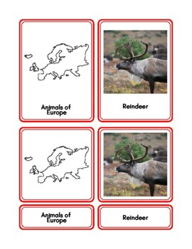 Preview of Animals of Europe