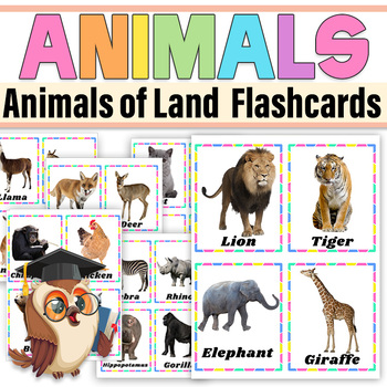 Preview of Animals of Land Real Pictures 50 Flashcards Animals of the Seven Continents
