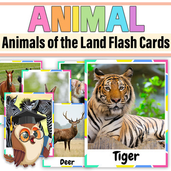 Preview of Animals of Land Real Pictures  Flashcards Animals of the Seven Continents