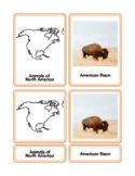 Animals of North America