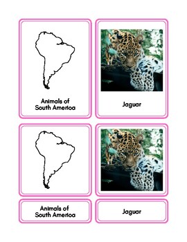 Preview of Animals of South America