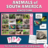 Animals of South America Continent Bingo Activity Cards Mo