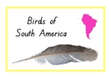 Animals of South America - Birds