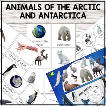 Preview of Animals of the Arctic and Antarctica 3 Part Cards Sort Poster Montessori