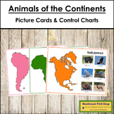 Animals of the Continents Set #2 (color) - Sorting Cards, 