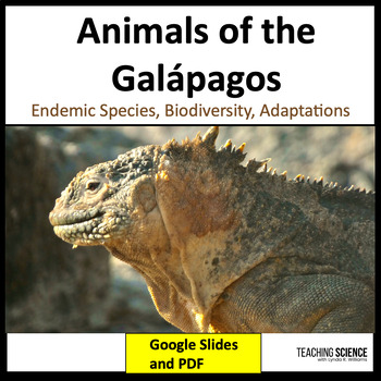 Preview of Animals of the Galápagos Islands Summer Reading Passages Biodiversity