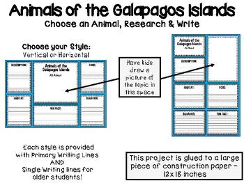 Animals of the Galapagos Islands Research Activity, Science Ocean