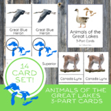 Animals of the Great Lakes Montessori Nomenclature 3-Part 