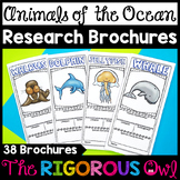 Animals of the Ocean Biome Research Brochures