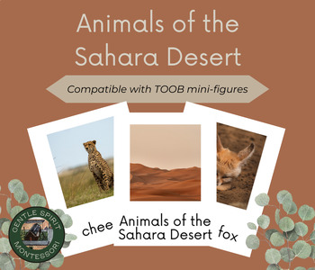 Preview of Animals of the Sahara Desert 3-Part Cards (TOOB aligned)