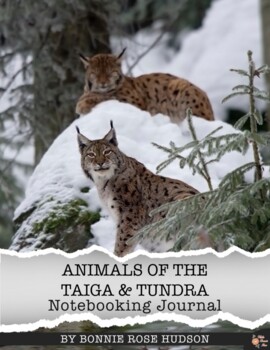 English Vocabulary For Taiga Animals