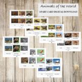 Animals of the World 3-Part Card DIGITAL DOWNLOAD BUNDLE