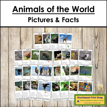 Preview of Animals of the World Pictures & Facts Bundle (Montessori color-code)