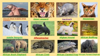 Preview of Animals on Earth Memory and Matching Game Ages 12 - Adult