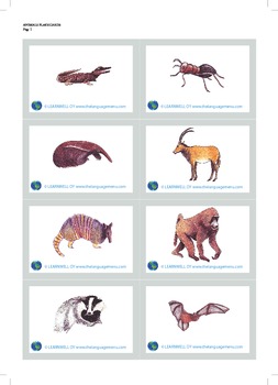 Preview of Animals - picture flash cards