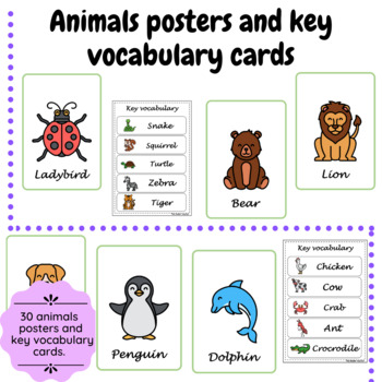 Preview of Animals posters + key vocabulary