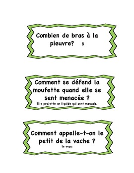 Animals : questions and riddles in French. by coquelicotlit | TpT