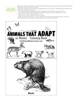 Preview of Animals that Adapt in Winter ~ Printable Coloring Book