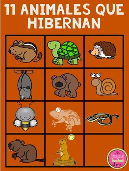 Animals that Hibernate in Spanish by The Bilingual Teacher Store