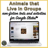 Animals that Live in Groups Texts and Activities for Use w