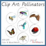 Pollinators Animals