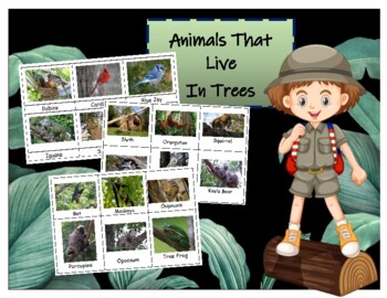 Animals that live in trees by For Two Little Blonds | TPT
