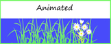 Animated Google Classroom Headers (Flowers) Banners - Dist