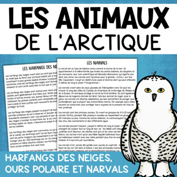 Preview of Animaux de l'Arctique FRENCH Reading Comprehension Winter Activities