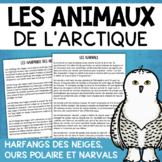Animaux de l'Arctique FRENCH Reading Comprehension Winter 