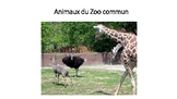 Animaux du Zoo commun ebook