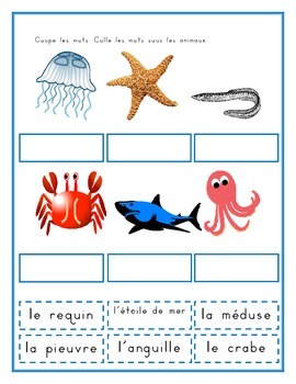 Animaux Marins Sea Animals In French Worksheets By Jer5 Llc Tpt