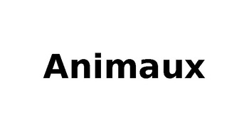 Preview of Animaux ppt