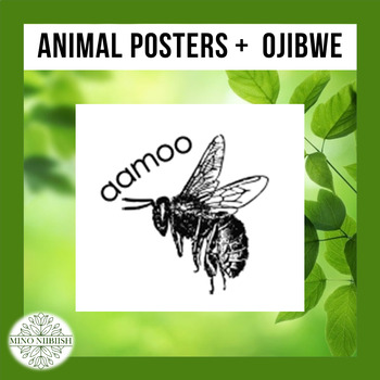 Preview of Anishinaabemowin Animal Posters (Ojibwe)
