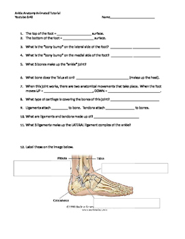 Preview of Ankle tutorial video handout
