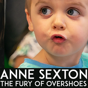 Preview of Anne Sexton "The Fury of Overshoes" | Poetry Analysis & Writing Worksheet | FREE