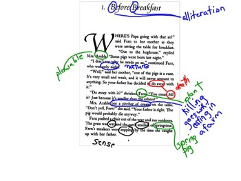 Preview of Literary Annotations Unit