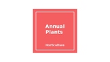 Annual Plants Powerpoint