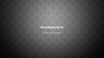 Preview of Anomalocaris