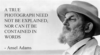Preview of Ansel Adams Profile