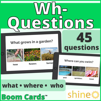 Preview of Answering Wh Questions, Mixed What Where Who Questions and Real Photos, Language