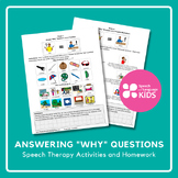 Answering "Why" Questions Therapy Kit | Speech Therapy Act