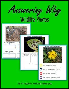Preview of Answering Why - Wildlife Photos