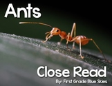 Ant Close Read