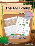 Ant Colony 3D Pop-Up